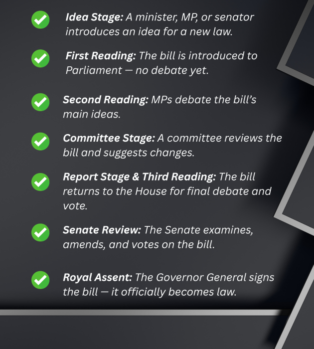 Your voice matters more than you think.